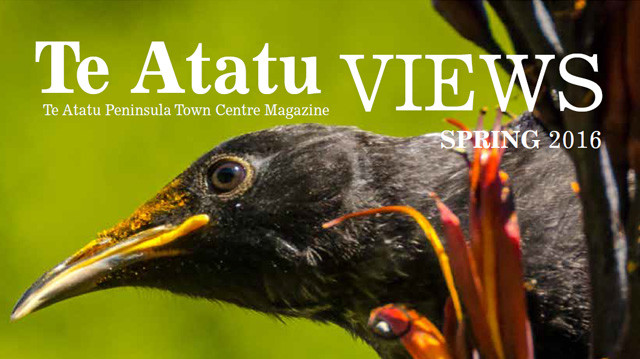 Te Atatu Views Spring 2016